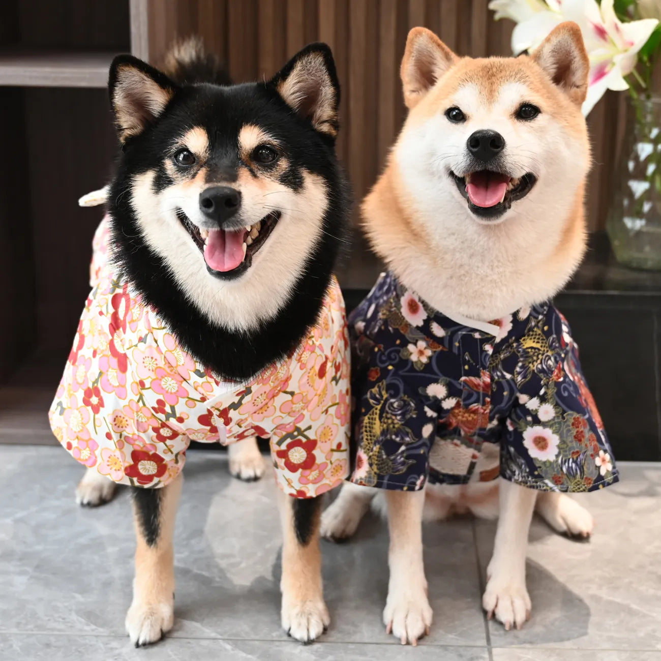 芮柴 綿100% ペット用 和風錦鯉柄 コーギー トイプードル 柴犬 着物 浴衣