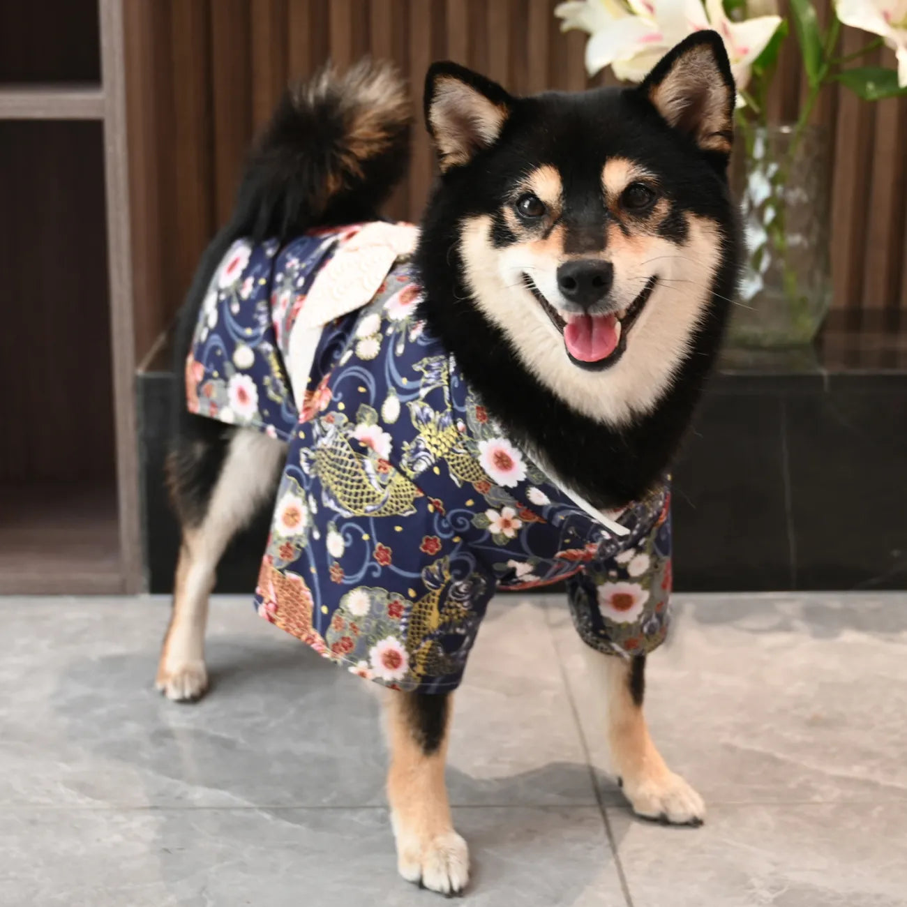 芮柴 綿100% ペット用 和風錦鯉柄 コーギー トイプードル 柴犬 着物 浴衣